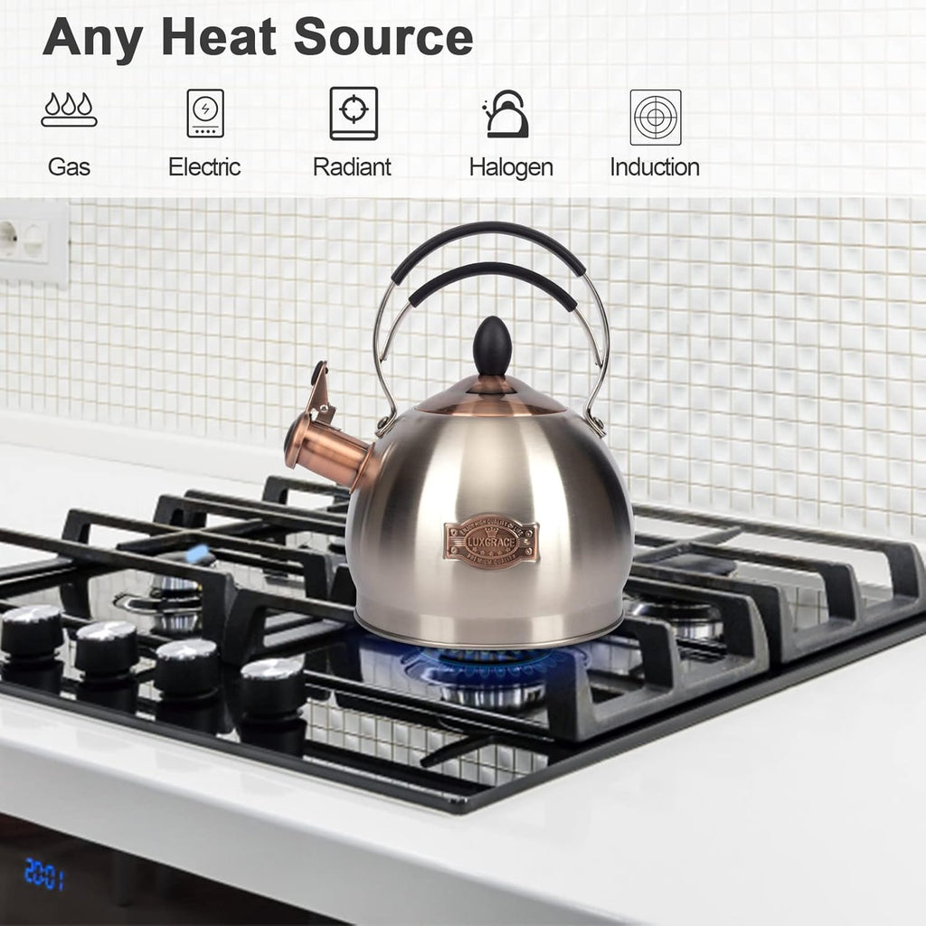 Whistling Tea Kettle Stainless Steel Teapot, Teakettle for Stovetop Induction Stove Top, Fast Boiling Heat Water Tea Pot 2.6 Quart