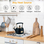 Tea Kettle Stainless Steel Teapot, Stainless Steel Teakettle for Stove Top with Heat Proof Ergonomic Handle 3.0 Quart