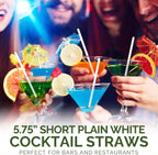 [500 Bulk] 5.75 inch White Small Paper Straws for Kids, Milk Cartons, Cocktail, Coffee, Short Drinks - Eco Friendly Disposable Drinking Straws