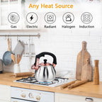Stainless Steel Tea Kettle for Stove Top Teakettles Stovetop Whistling with Heat Proof Ergonomic Handle 2.5 Quart