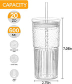 Glass Cups With Lids and Glass Straws，20 OZ 4pcs High Borosilicate Glass Tumbler Iced Coffee Water Smoothie