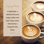 Costa Rican Coffee, Single Serve Coffee Pods, Premium Costa Rica Tarrazu Single Origin Fresh Roasted Coffee | K-Cup Compatible Brewers | Cubico Coffee | 10 Count