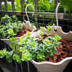 4 Pack Large S Hooks for Hanging Heavy Duty, 6 inch Non Slip Vinyl Coated Metal Closet S Hooks for Hanging Kitchen Utensil Pot Pan Cups Clothes Jeans Towels Hats Bags Plants (White)