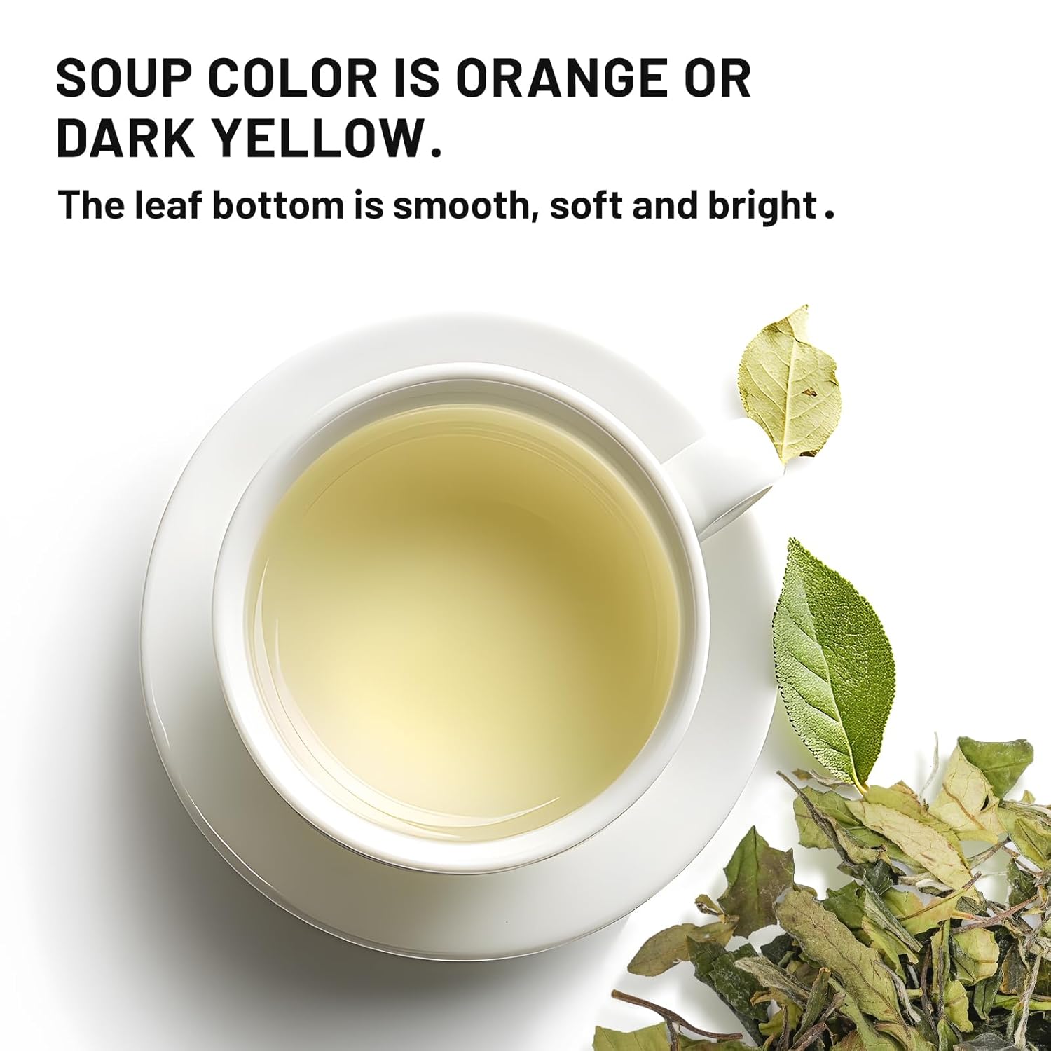 iTeaworld Gongmei White Tea Spring Harvest - Premium Chinese Tea from Fuding Fujian, Low Caffeine Multiple Steeping, Smooth Mellow Taste - Perfect for Daily Drinking & Relaxation - Ideal for Tea Enthusiasts 1 Pack(1.76oz)