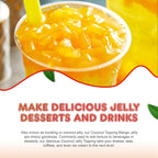 Fanale Coconut Jelly Topping nata de coco for Bubble Tea 8.3 lb | Mango Jelly | for Boba Tea, Smoothies, Slushes, Desserts | 8.3 pound (Pack of 4) | JEL003-CS
