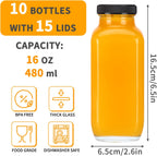 CUCUMI 10pcs 16oz Glass Juice Bottles with Lids, Reusable Juice Containers Drinking Jars Water Cups with Brush, Glass Straws, Lids with Hole