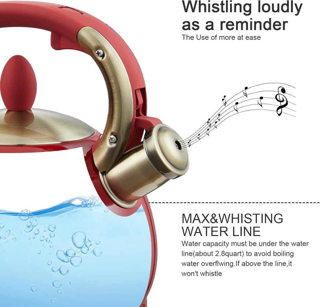 Tea Kettle -2.8 Quart Tea Kettles Stovetop Whistling Teapot Stainless Steel Tea Pots for Stove Top Whistle Tea Pot