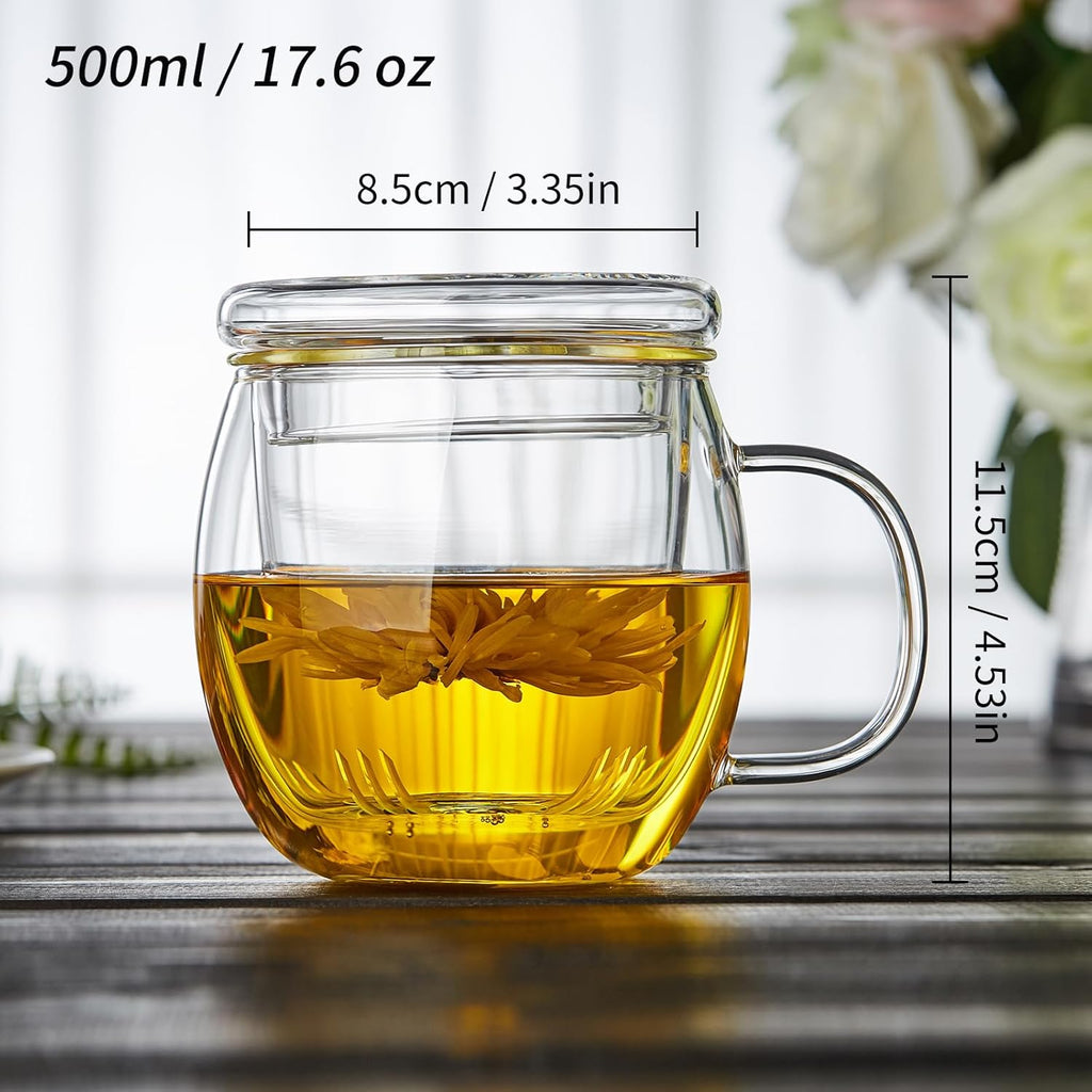 Glass Tea Cup with Infuser and Lid, 17oz/500ml Large Borosilicate Teacup, Clear Mug for Loose Leaf Tea, Blooming Tea, Tea Bags - Perfect Christmas or Birthday Gift for Women