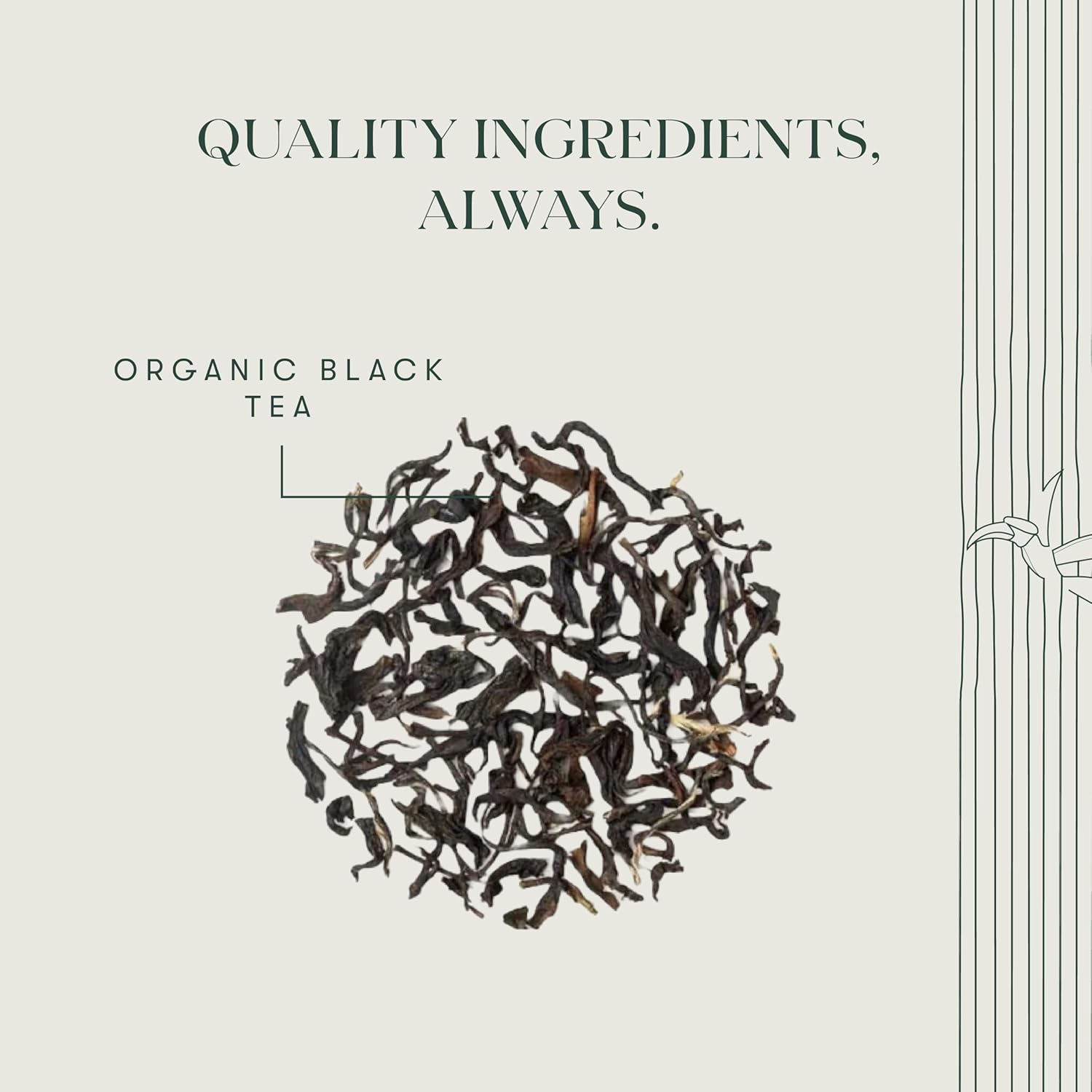 Luxmi Estates Queens Black Tea Blend 50 Tea Bags (100gm) Pack | Organic Black Tea | 50 Cups Bulk Pack