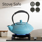 Cast Iron Teapot Set with 2 Tea Cups, 7 Pcs Japanese Tea Kettle with Stainless Steel Infuser, Tea Pot Coated with Enameled Interior, Dragonfly Pattern, 28oz 800ml Blue