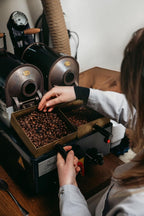 Bristot 100% Brasile Capsules compatible with Lavazza Blue* Machines | Medium Roast | 1050 Count