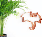 The Fussy Pup Flying Dragon Cookie Cutter – 6.25” Solid Copper – Handmade in the USA – Fantasy Wyvern for Medieval Parties, Crafts, and Gifts