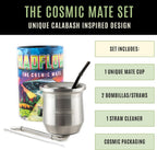 MADFLOW Yerba Mate Cup. Stainless Steel Mate Cup with 2 Bombillas. Double Wall Vacuum Insulated Yerba Mate Gourd. Unique Mate Cup And Bombilla Set