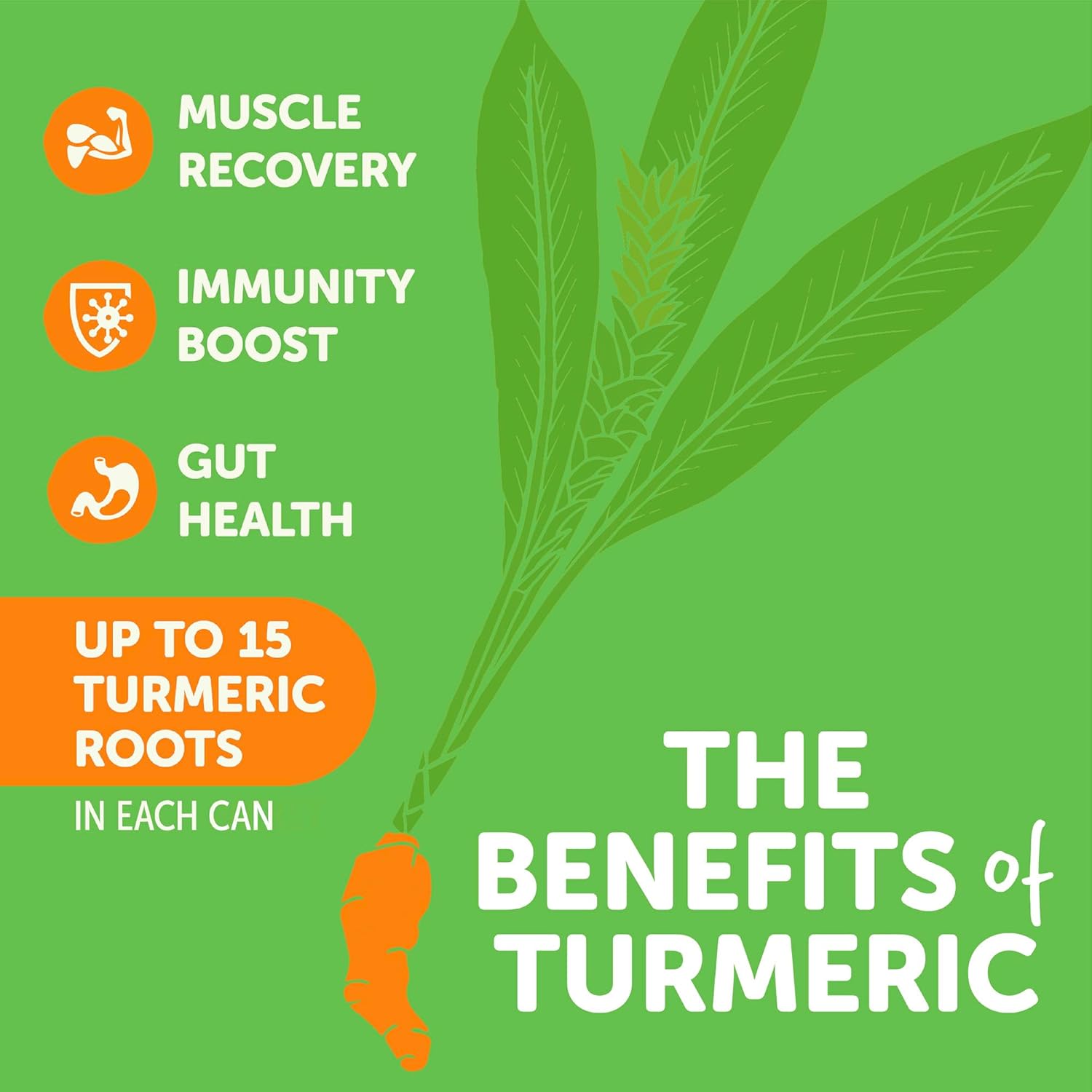 ZYN Turmeric Wellness Drink (6 Pack), Mango Lychee Flavored Turmeric Curcumin Drink with Black Pepper, No Added Sugar, Low Carb & Low Calorie Drink, Clean Alternative