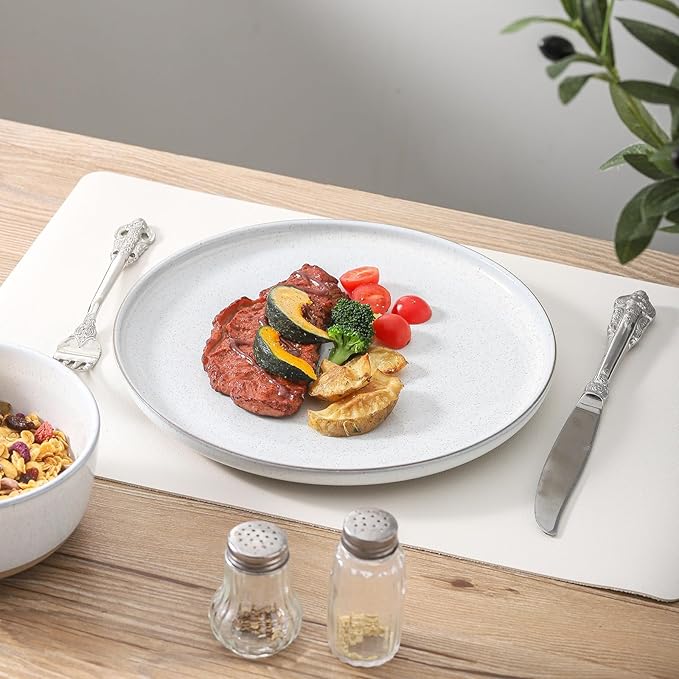 Ceramic Dinner Plates Set of 4,Stoneware 10 Inch,Microwave,Dishwasher and Oven Safe,Porcelain Dessert Plates for Pasta,Salad and Steak,Dishes Set for Kitchen,Scratch Resistant,White