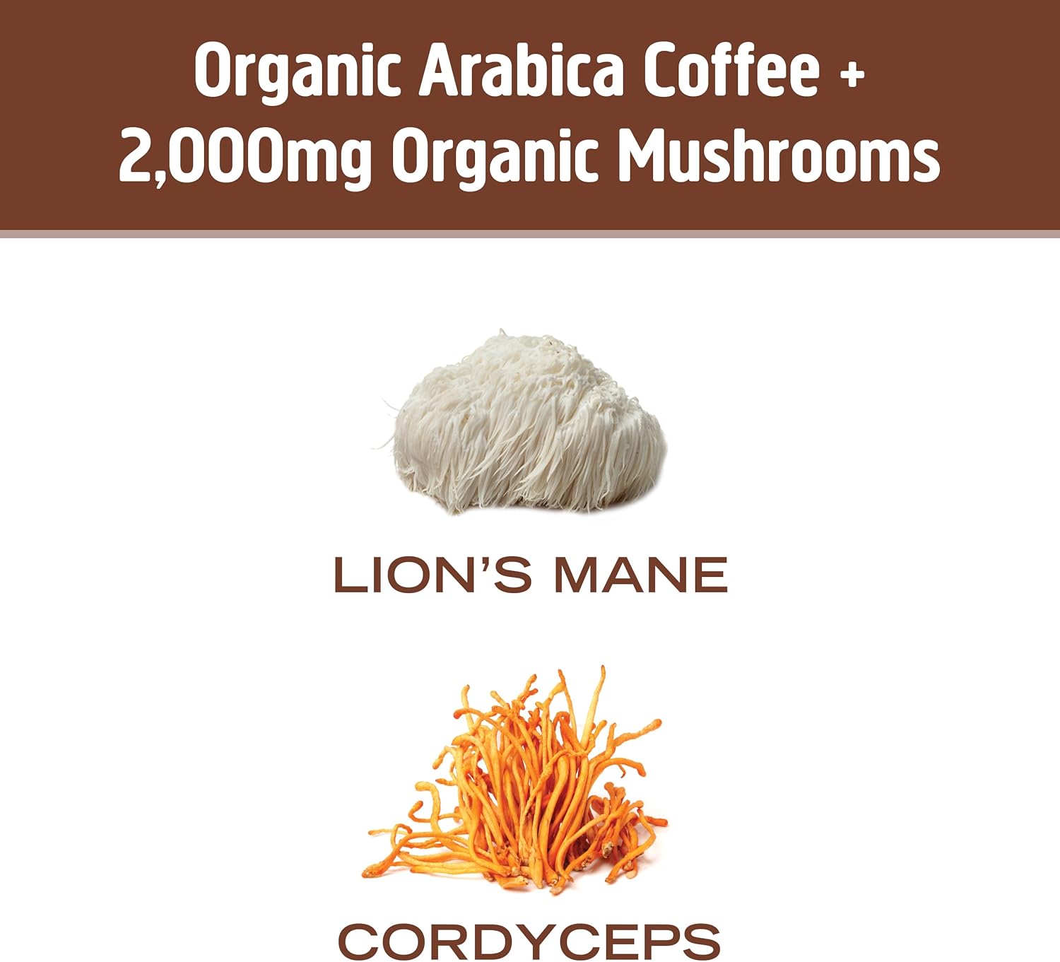 OM MUSHROOM SUPERFOOD Coffee Blend Mushroom Powder, Single Serve, 10 Count, Organic Arabica Beans, Lion's Mane, Cordyceps, Turkey Tail, Reishi Extract, Ginkgo Biloba, Supports Energy and Focus