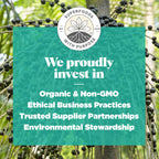 Navitas Organics Acai Powder – for Smoothie Bowls, Oatmeal, Dips, Sauces & More – Antioxidants, Omega 3 6 9, Fiber - USDA Organic, Non GMO, Kosher, Gluten Free, Keto (8oz. Bag, 76 Servings)