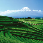 Palais des Thés - Sunrise Wake Up - Green Tea, Mate & Grapefruit - 3.5oz Loose Leaf Metal Gift Tin, Serves 20-25 Cups