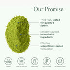 SPACE AND TIME Create - Mushroom Matcha Tea - 20 Cups of Creativity, Energy & Enhanced Mood - Organic Matcha Powder with Lions Mane, L-Theanine & Saffron