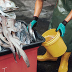 KAYGO Waterproof Work Gloves for Men and Women, Rubber Coated Non-slip Working Gloves for Garden, Outdoor Construction,3 pairs,Blue,L