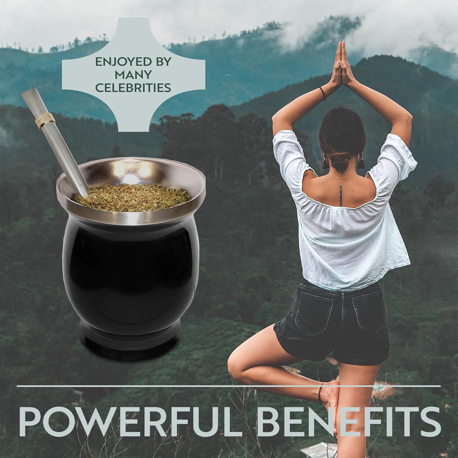 Norte Yerba Mate Cup Kit, 8-Ounces Traditional Mate Tea Cup/Gourd Set | Includes 2 Bombillas (Yerba Mate Straw) & Cleaning Brush, Stainless Steel Cup, Double-Walled, Easy to Clean | Black