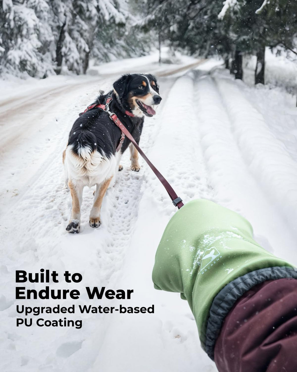 Waterproof Winter Gloves with Grip, Balaena Freezer Gloves for Light Duty Work & Outdoor Adventure, Hiking, Farming, Washing, Ice Fishing, Green, Large