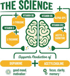 BrainJuice Focus & Energy Drink Shots, Nootropics with Alpha GPC, B Vitamins & Organic Green Tea Caffeine, Supports Focus, Memory & Clarity, Non-GMO, Gluten Free, Peach Mango, 2.5 fl oz, 12 Pack