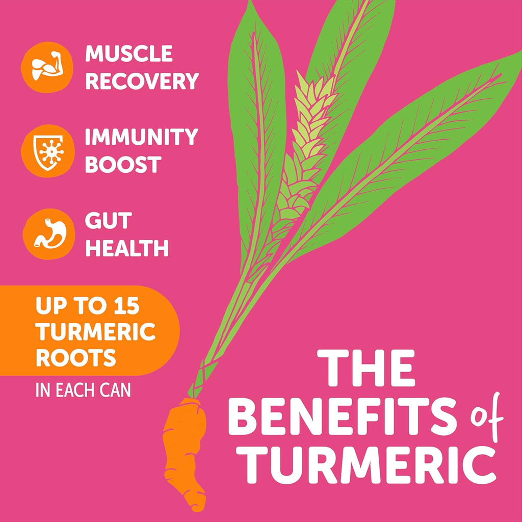 ZYN Turmeric Wellness Drink (24 Pack), Mixed Berry Flavored Turmeric Curcumin Drink with Black Pepper, No Added Sugar, Low Carb & Low Calorie Drink, Clean Alternative