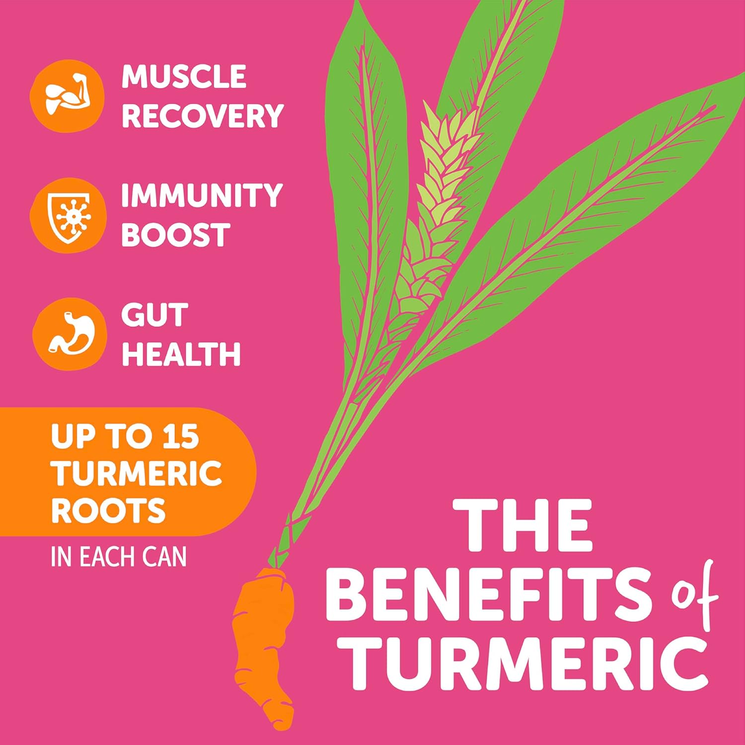 ZYN Turmeric Wellness Drink (24 Pack), Mixed Berry Flavored Turmeric Curcumin Drink with Black Pepper, No Added Sugar, Low Carb & Low Calorie Drink, Clean Alternative