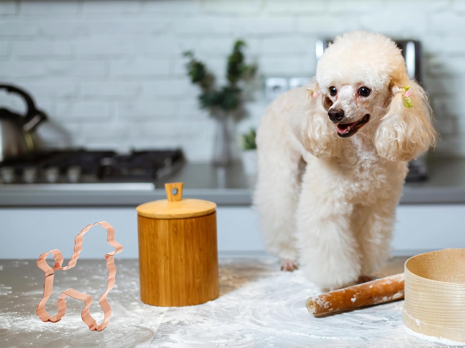 Poodle Cookie Cutter 4.25 Inch Handcrafted in USA by The Fussy Pup