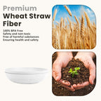 Homienly Wheat Straw Bowls,Large Salad Bowls Set of 2,Big bowls 60 OZ, Unbreakable Serving Bowls, Bowl Plates, Microwave & Dishwasher Safe Bowl Set for Outdoor, Kitchen, Serving, Camping (White)