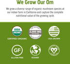 OM MUSHROOM SUPERFOOD Matcha Latte Blend Mushroom Powder, Single Serve, 10 Count, Green Tea, Lion's Mane, Reishi, Chaga, Turkey Tail, Focus & Stress Support Supplement