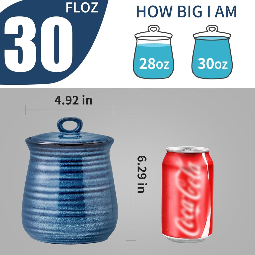 Hasense Ceramic Food Storage Jar, Coffee Canister with Lid, Cookie Candy Jar for Kitchen, Serving for Dog Treat Sugar Loose Tea Flour Coffee Beans Rice Snack Storage 30 FL OZ (Blue)