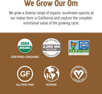 OM MUSHROOM SUPERFOOD Coffee Latte Blend Mushroom Powder, Single Serve, 10 Count, Lion's Mane, Cordyceps, Reishi, Chaga, Energy & Mental Clarity Support Supplement