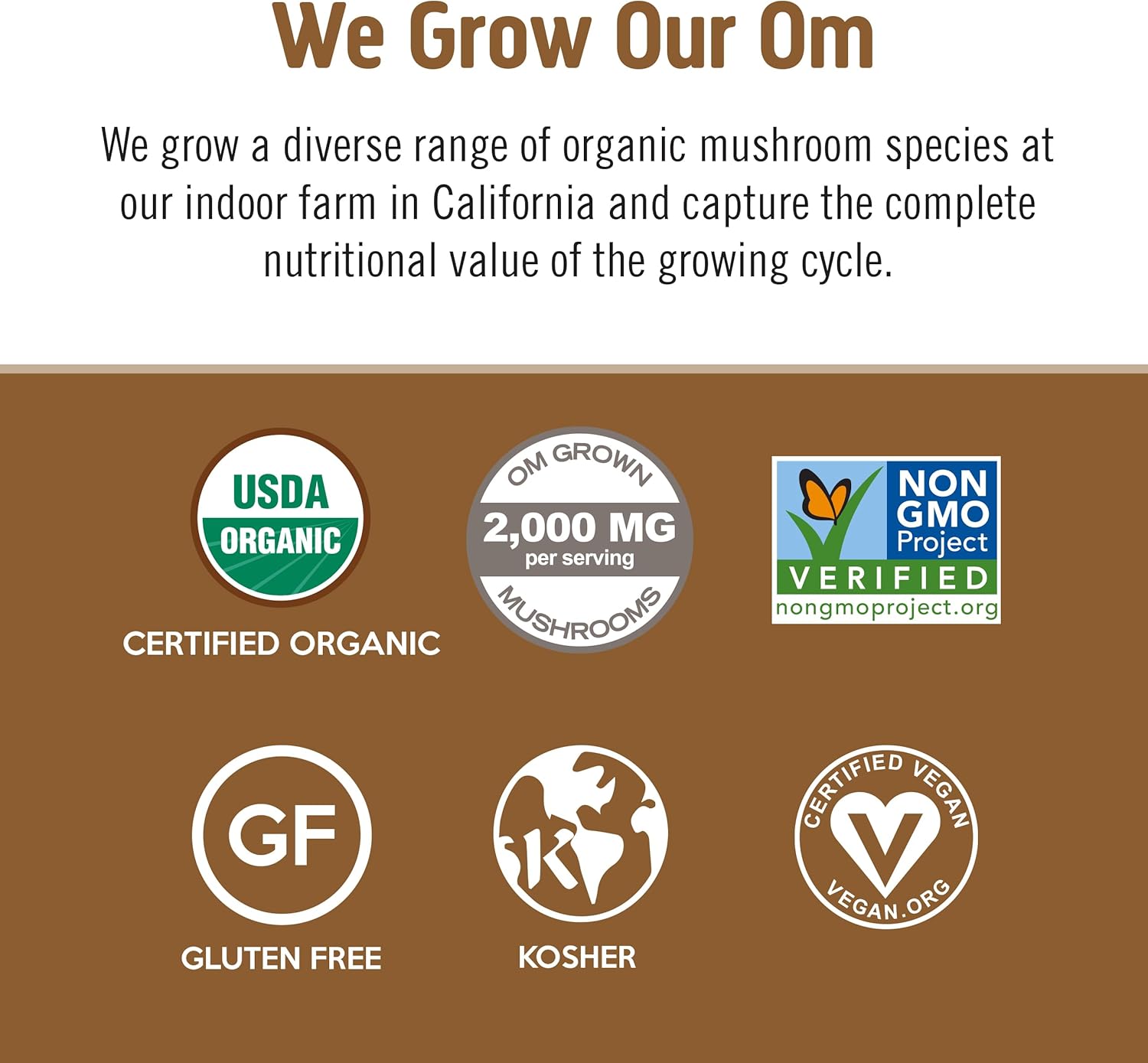 OM MUSHROOM SUPERFOOD Coffee Latte Blend Mushroom Powder, 8.47 Ounce Canister, 30 Servings, Lion's Mane, Cordyceps, Reishi, Chaga, Energy & Mental Clarity Support Supplement