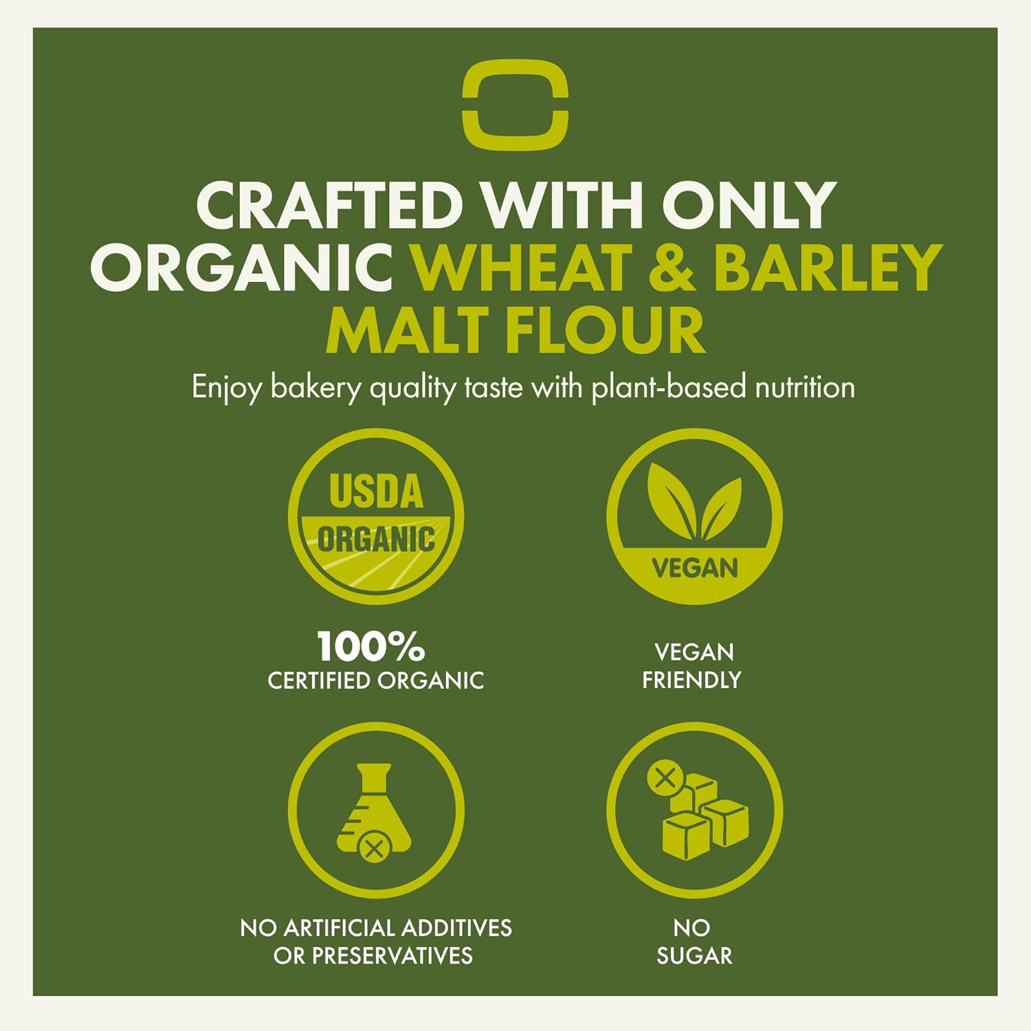 Let’s Bake Bread Organic Bagel Baking Mix - Makes Chewy, Golden Bagels at Home - USDA Organic, Non-GMO, No Additives, Easy Home Baking, Artisan-Style Bagels - 17.64 oz (1 Pack)