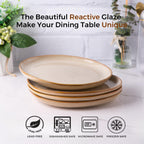 AmorArc Ceramic Plates Set of 5, 8.5 Inch Handmade Reactive Glaze Stoneware Plates set for Dessert, Salad, Appetizer, Small Dinner Plates, Microwave&Dishwasher Safe, Scratch Resistant
