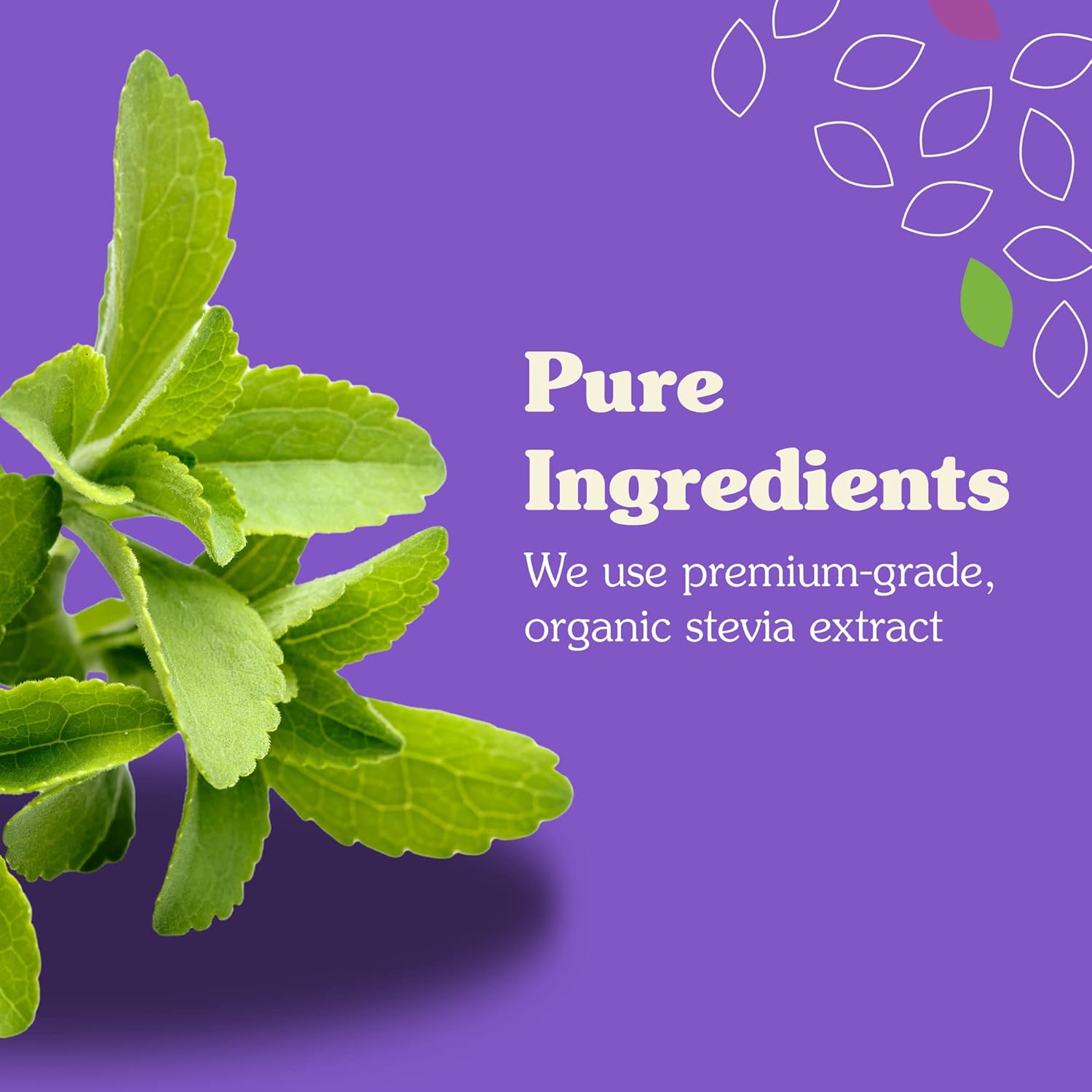 NuNaturals Stevia Syrup, Sugar-Free Sweetener, Plant-Based Sugar Substitute, Zero Calorie, Chocolate Flavor Syrup, 16 oz