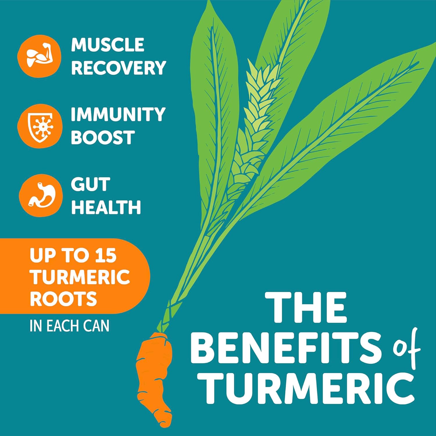 ZYN Turmeric Wellness Drink (24 Pack), Lemon Ginger Flavored Turmeric Curcumin Drink with Black Pepper, No Added Sugar, Low Carb & Low Calorie Drink, Clean Alternative