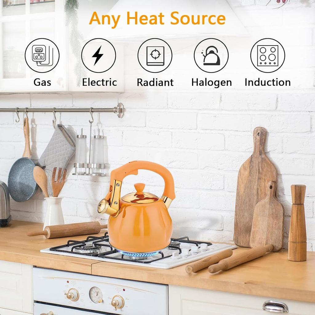 Stainless Steel Tea Kettle for Stove Top Teakettles Stovetop Whistling with Heat Proof Ergonomic Handle 2.5 Quart