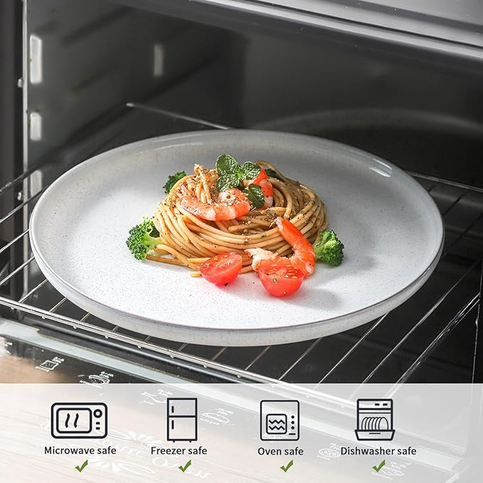 Ceramic Dinner Plates Set of 4,Stoneware 10 Inch,Microwave,Dishwasher and Oven Safe,Porcelain Dessert Plates for Pasta,Salad and Steak,Dishes Set for Kitchen,Scratch Resistant,White