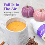 NuNaturals Stevia Syrup, Sugar-Free Sweetener, Plant-Based Sugar Substitute, Zero Calorie, Pumpkin Spice, 16 oz