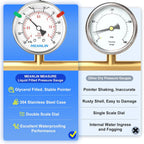 MEANLIN MEASURE -30inHG~30Psi Vacuum Pressure Gauge 316 Stainless Steel Joint 1/4"NPT 2.5"FACE DIAL, Liquid Filled Pressure Gauge WOG Water Oil Air Back Mount with Stainless Steel Hex Bushing, Snaps