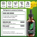YUMOYI Chlorophyll&Mullein Drops for Lungs - Support Lung Cleanse & Respiratory Function for Healthy Breathing - Natural Supplement, Tincture Drops | Non-GMO, Vegetarian | 1 Month Supply