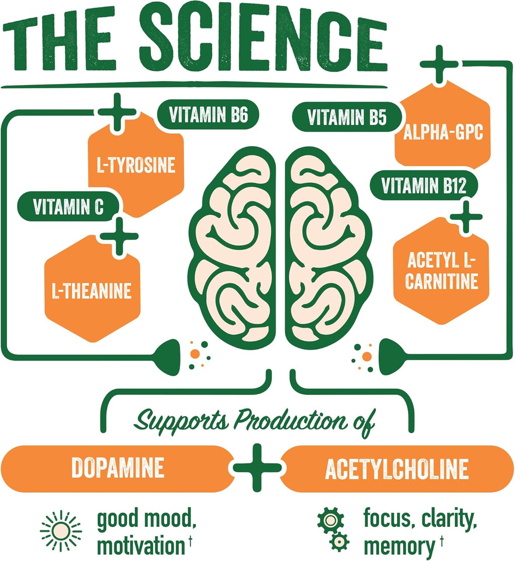 BrainJuice Active Focus & Energy Drink Shots, Supports Endurance, Recovery & Clarity, Non-GMO, Gluten Free, Nootropics, Alpha GPC, B Vitamins & Organic Green Tea, Pomegranate Acai, 2.5 fl oz, 12 Pack