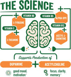 BrainJuice Active Focus & Energy Drink Shots, Supports Endurance, Recovery & Clarity, Non-GMO, Gluten Free, Nootropics, Alpha GPC, B Vitamins & Organic Green Tea, Pomegranate Acai, 2.5 fl oz, 12 Pack