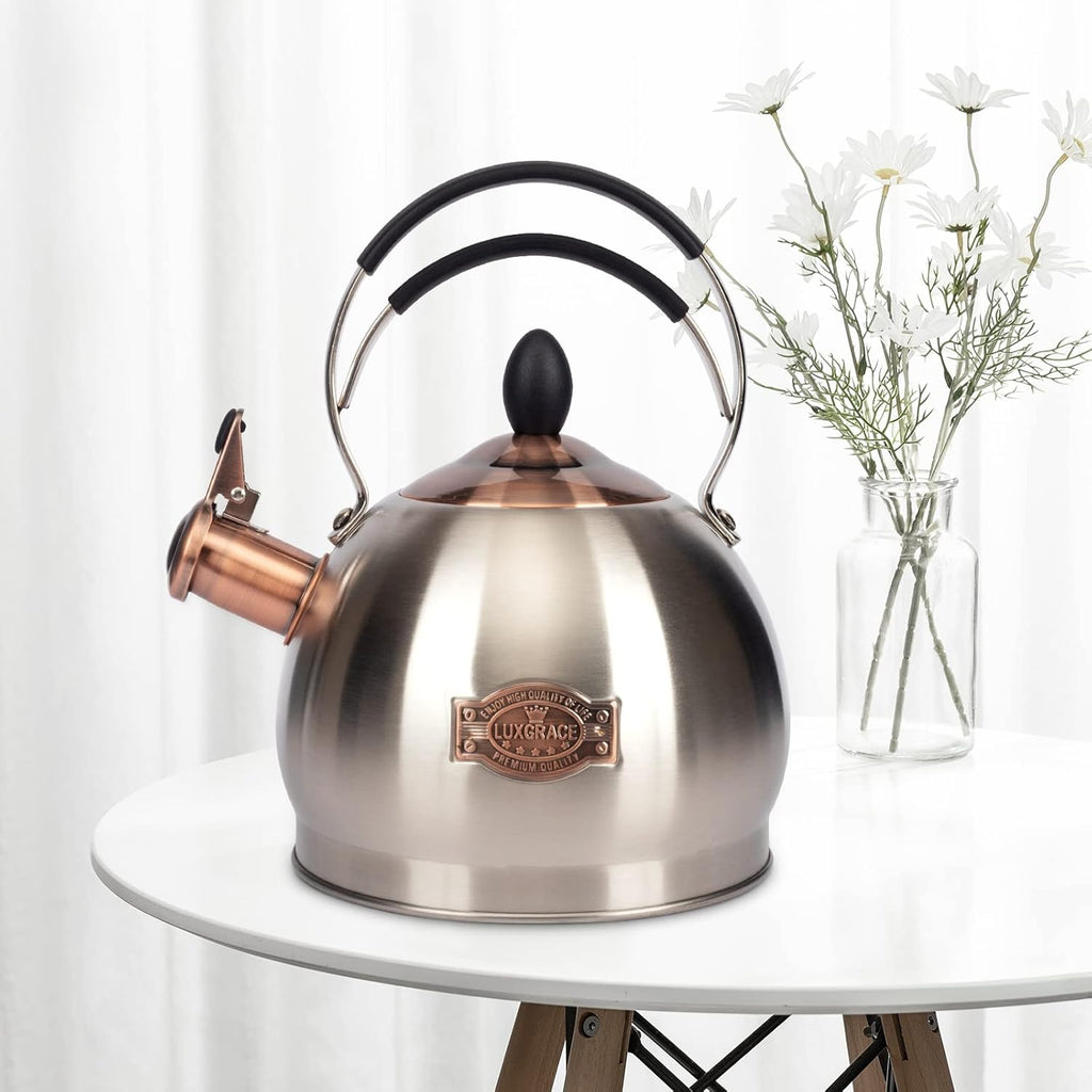 Whistling Tea Kettle Stainless Steel Teapot, Teakettle for Stovetop Induction Stove Top, Fast Boiling Heat Water Tea Pot 2.6 Quart