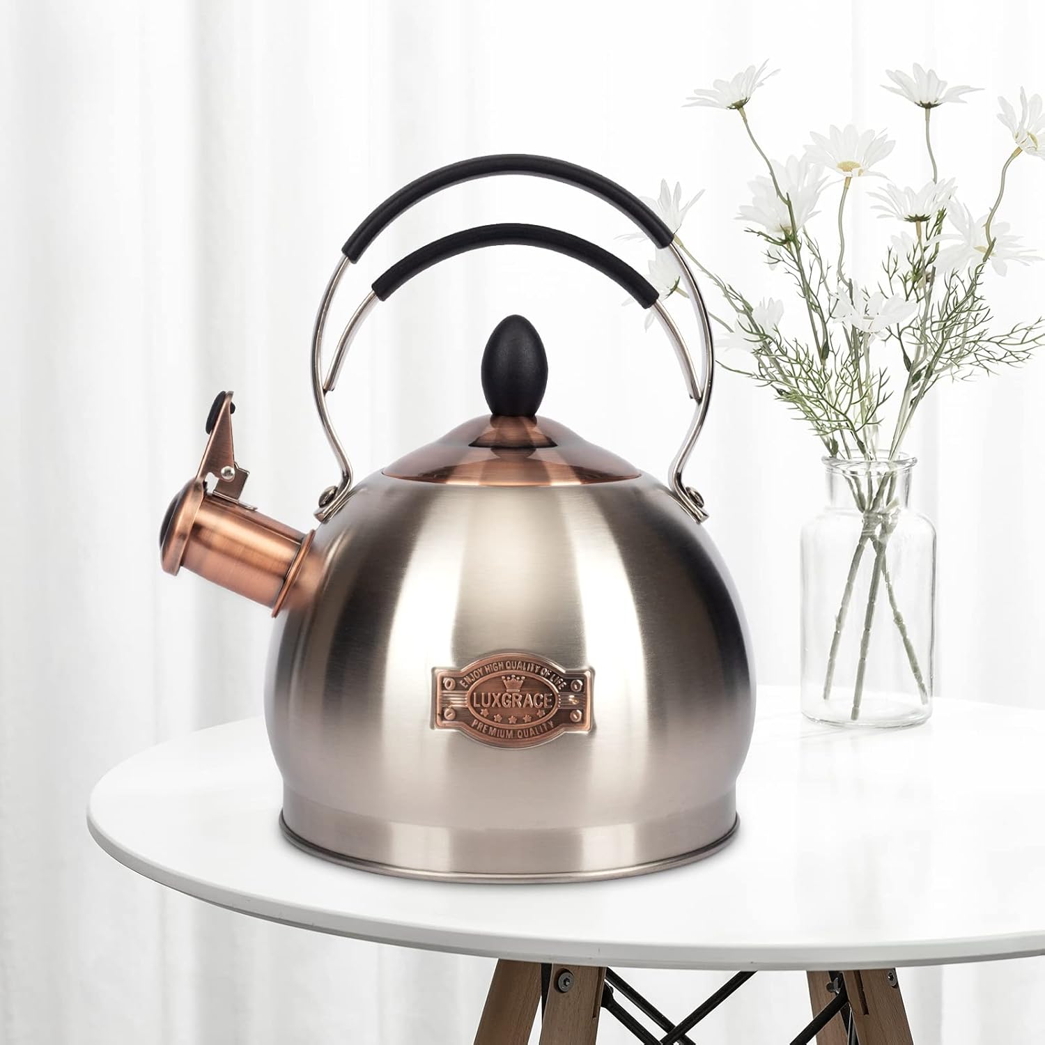 Whistling Tea Kettle Stainless Steel Teapot, Teakettle for Stovetop Induction Stove Top, Fast Boiling Heat Water Tea Pot 2.6 Quart