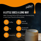 DaVinci Gourmet Classic Cinnamon Syrup