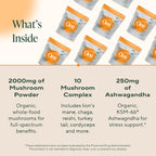 Om Master Blend Mushroom Powder – Organic Mushroom Supplement with 10 Mushrooms and Ashwagandha - Support Immunity, Gut Health & Stress Relief, 6.34 oz (80 Servings)